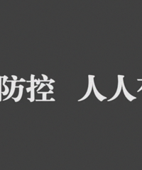 12月3日新增确诊病例205例