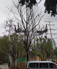 ���ϳ��翪ʼ��������