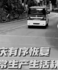 城区565条公交线路恢复运营