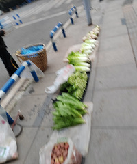 ������ŵĵ�һ�죬��һ�б��԰��⣬�����ů��ͬ������