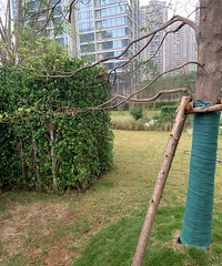 ���¾���ҵ��Ҳ��ʵ��