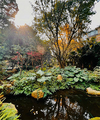 ���ģ������콭����С�����ﾰ��������Ũ�����ͻ�