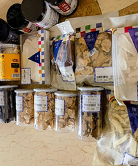 �׷�ת�ڷ���ֳ���2�����⼸�����ӣ�ȷʵ�е���