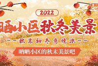 秋冬意境浓,晒晒小区的秋冬美景,赢50元现金红包