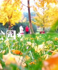 ���빫԰.��ɫͯ����