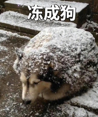 ��126ֵ����ά��ҽ��KN95����50ֻ40���ƾ�����ʪ��