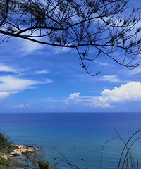 ��û���ں���������¡�򷿵����ѣ��ҿ�����