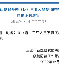 为了鼻炎娃儿在海南买的过冬房,现在也去不了