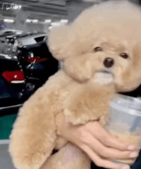 ������ֵ�������ѿ�ɺ����˯��67��ά����ƿ���50��16