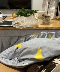 �����ز���Ͱ���㰡��û�е�ů�����뿪ů���Ľ��ó尡��