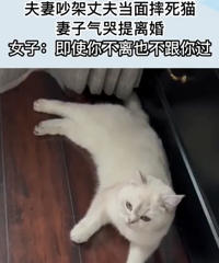 ���޳����ɷ���ˤ��è���������������