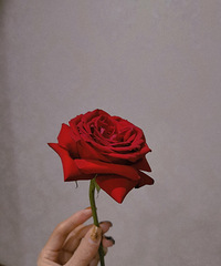 ÿ�����ϲ���3��4�����˯���ţ�������������ô�����ģ���ͽ�