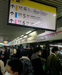 �þ�û��Ƚ�Ұ��������ˣ����첻������ͷ������������