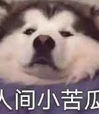 ������ҽ��n95ʲô���ӱȽϺã�������̫���ˣ���֪����һ�֣�