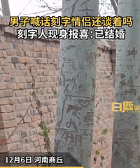 网友拍刻字表白树16年前刻字人报喜:已结婚