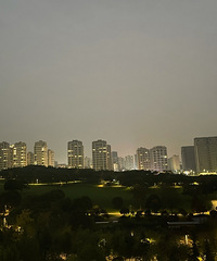 ͷ����ס������������