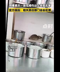 好恶心啊!网曝重庆一面馆操作台上老鼠乱窜