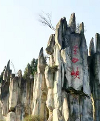 有序恢复开放!重庆这些景区场馆都开了