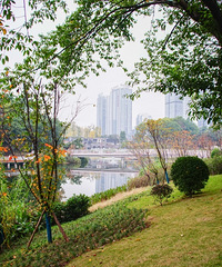 û˵ӺõطԱߵ칫԰Ҳ