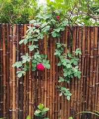 180ƽȽҰ39ƽ䣬22ƽ¶̨