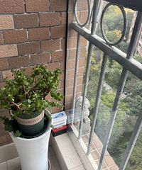 二手大平层阳台有一对石狮子,开始我还不信,直到...