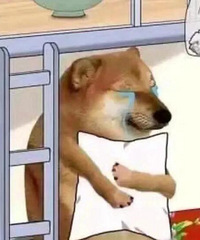 ���Ϊ��������ʲô׼������