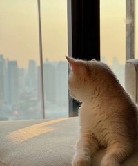 ������������������ˣ���û���˲��¸�Ⱦ������ҩ