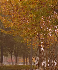 �������죬���빫԰�Ķ������������