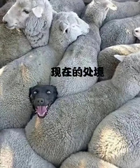 ������ڶ�������