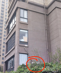 ⣬¥Ϊռˣ¥µĿյλռ