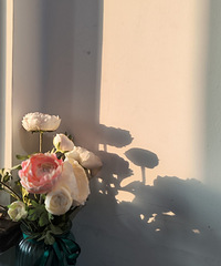 89��165CM��С������飬ϣ���Է�30~36��