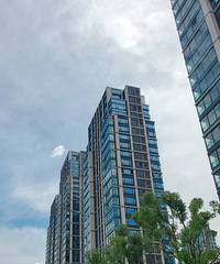 ���빫԰��ƽ�����ֵ�컨��