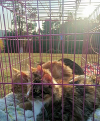 84182CM20ĸ飬ϣҲԼͥΪ