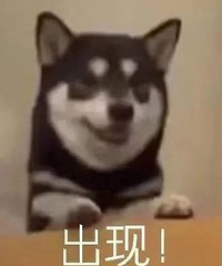 ������ֵ�����ֱȱ���ʽ������3֧18�����Ҷ������6��62