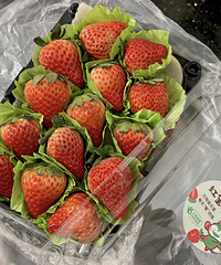 Ҳֺװݮˣڰٹ԰ľȻƭӲݮ