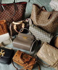 �ҵ�11ֻ��������н�ײ��������ϲ��ʵ�õģ�����ʹ���ĵ�