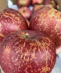 12.8Ԫĳƻû൫Ǹ¸´治