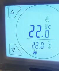 ҿ˵ů֮ڼҶʲô22ȶе