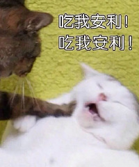 @所有女生们!你们买到过哪些幸福感好物,一人来说一个
