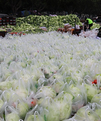 单身这一年:2022年是特殊的一年,许多记忆让人忘怀