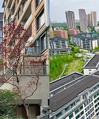 ˵����Ϊ���챣ֵ������ֵ�����ֵĸ߶˸���С��