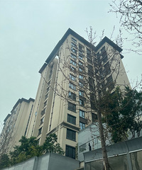 �����ǽ�������̬�ǵķ���ȷʵ�޵�Ʋ��