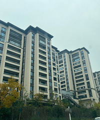 �����ǽ�������̬�ǵķ���ȷʵ�޵�Ʋ��