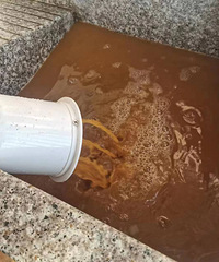 5겻ϴĵůֲ࣬˵ԽԽ