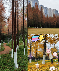 景色超美的主城公园,遛娃散步首选