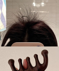 ��Ҷ���һ�ã�ը��ë����Ҫ��˵��������