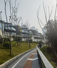 ����Ķ������⣬���߲���ing��һ���÷�������ͺ�