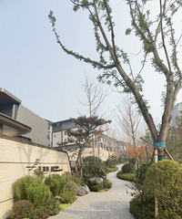 ����Ķ������⣬���߲���ing��һ���÷�������ͺ�