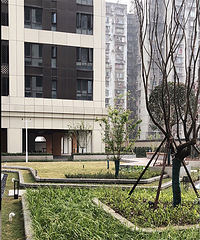 �����̡�ͨ���ͥҪ�ӷ��ˣ����Ҿ�Ȼ����ش�