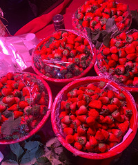 �������ܹ�20���ӲŻ�����Ϣ��ƽ��ҹʥ����Ҳû��Լ�ҳ���ˣ